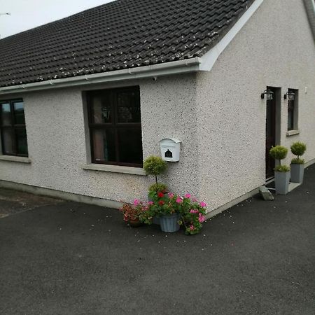 Lynn'S Lodge, International Airport 15Mins Randalstown Kültér fotó