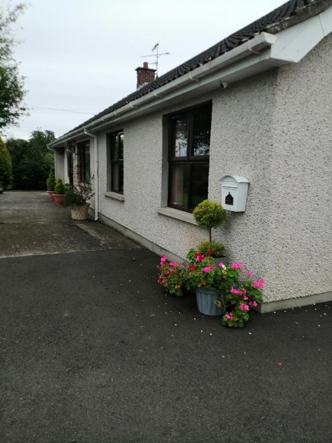 Lynn'S Lodge, International Airport 15Mins Randalstown Kültér fotó