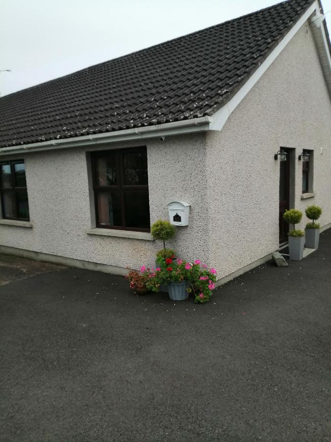 Lynn'S Lodge, International Airport 15Mins Randalstown Kültér fotó