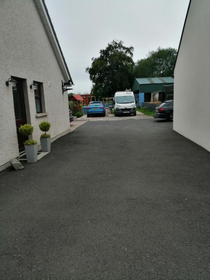 Lynn'S Lodge, International Airport 15Mins Randalstown Kültér fotó